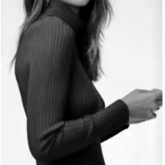 Babaton Zander Ribbed Turtleneck - Picture 2 of 10